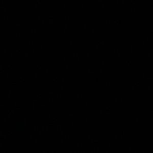 Meet your Posher, Brittney